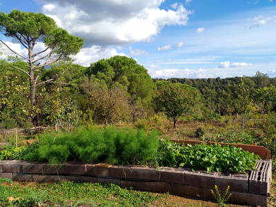 Bild 12 aus  Landhaus in der Toskana