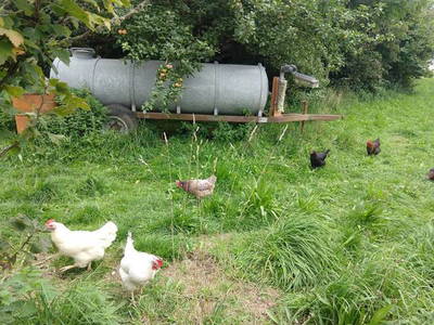 Bild 13 aus  Kebachhof