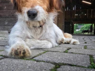 Bild 48 aus  Gerwenshof