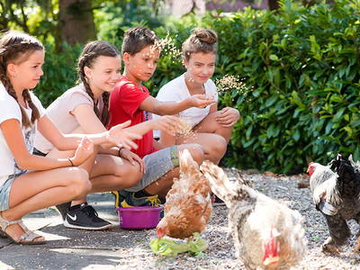 Bild 17 aus  Sonis kleine Farm Grömitz