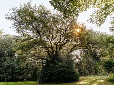 Bild 15 aus  LandSelection Hof am Kolk