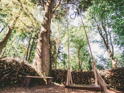 Bild 35 aus  Gut Boltenhof