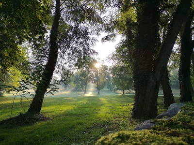 Bild 26 aus  Schloss & Gut Ulrichshusen