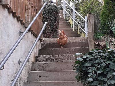 Bild 12 aus  Weberhof