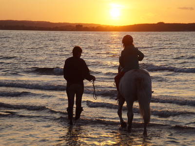 Bild 49 aus  Gut Friederikenhof