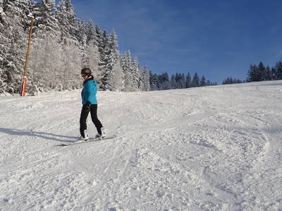 Bild 16 aus  Hütten und Ferienwohnungen im Bayerischen Wald ,  Nähe Arber u. Nationalpark Bayerischer Wald