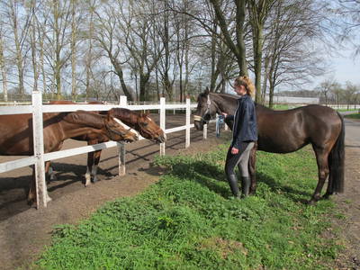 Bild 6 aus  Hof Buddenkotte