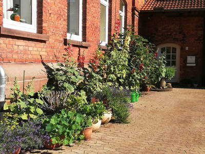 Bild 15 aus  Ferienwohnung Strüver