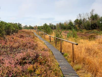 Bild 29 aus  Mühlenhof Seyde