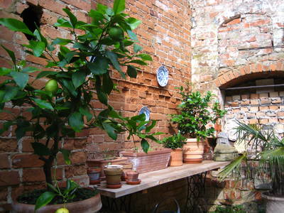 Bild 8 aus  Schloss Neuhausen