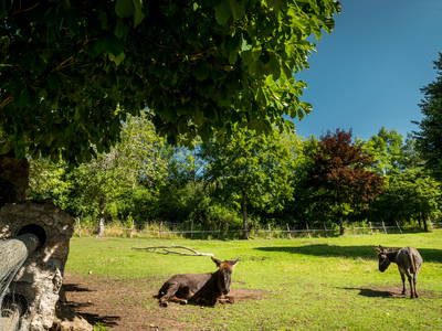 Bild 21 aus  Gut Neuwerk