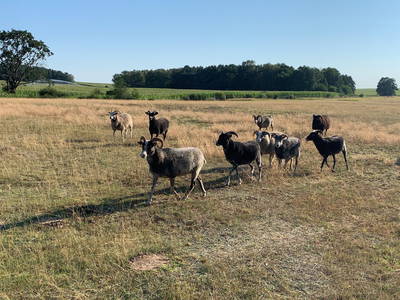 Bild 33 aus  Gut Pälitzhof