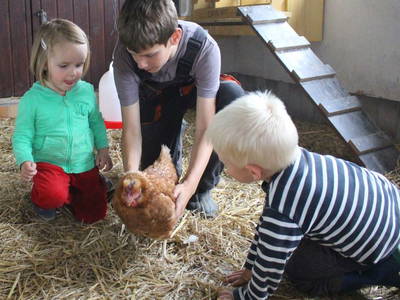 Bild 16 aus  Schellen Hof