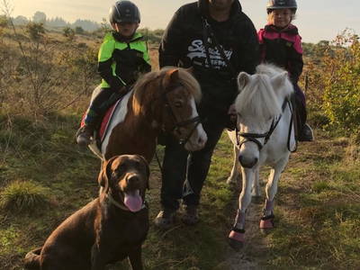 Bild 74 aus  Lindenhof