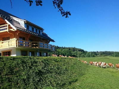 Wanderung in den Stall