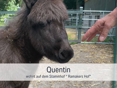 Bild 35 aus  Meine Schule Sehlingen