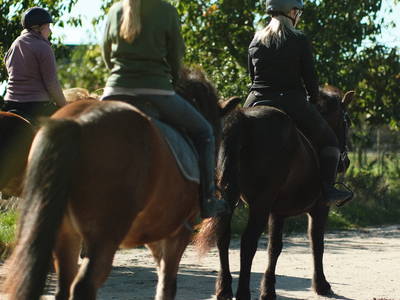 Bild 11 aus  Reiter- und Erlebnisbauernhof Groß Briesen