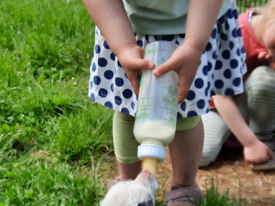 Bild 33 aus  Ferienhof Morich Harz