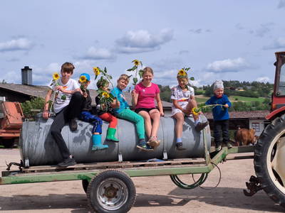 Eine Sonnenblume für jede Mama vom Feld mitgebracht