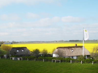 Bild 3 aus  Ferienhof Friedenshof