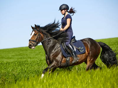 Bild 10 aus  LandSelection Urlaubsreiterhof Trunk *Glückliche Pferde & Menschen*