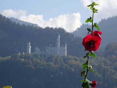 Bild 8 aus  Augustinerhof