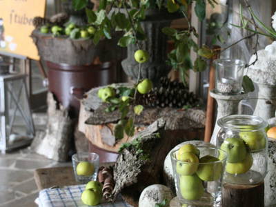 Bild 14 aus  Historische Schäferei