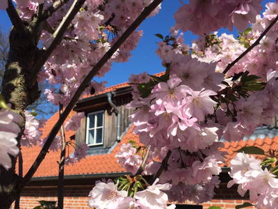 Bild 24 aus  Gut Friederikenhof