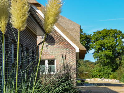 Bild 10 aus  Bauernhof Krebs