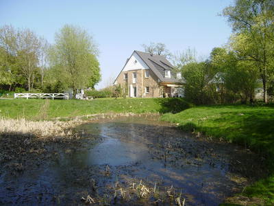 Bild 55 aus  Gestüt Hof am See