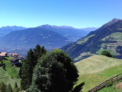 Bild 16 aus  Wiesbauer - Urlaub in Schenna - Südtirol