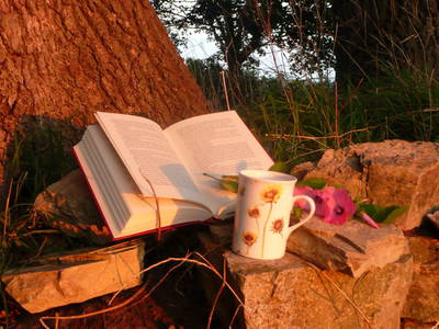 Bild 17 aus  Rumlerhof