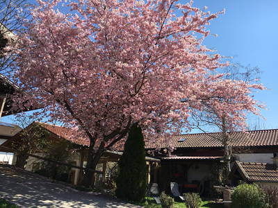 Bild 17 aus  Ferienwohnung Donebauer