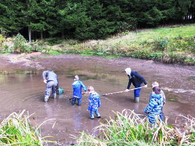 Unser Teich wird abgefischt