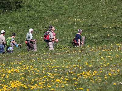 Bild 40 aus  Gutshaus Gottin