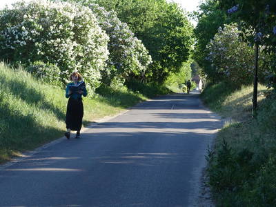 der Hohlweg zum Landhaus Arcadia