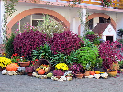 Bild 4 aus  Lautersheimer Gutshof