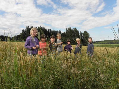 Bild 17 aus  Schauerhof