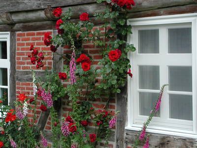 Bild 34 aus  Hof Höpen