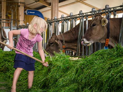 Bild 8 aus  Ferienhof Baur