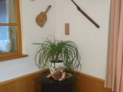 Bild 4 aus  Pension Landhaus Fischer