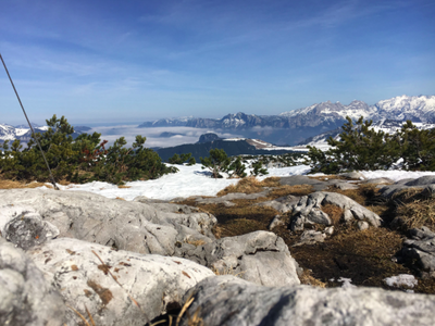 Bild 28 aus  Ferienwohnung Donebauer