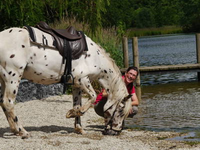 Bild 26 aus  Familienbauernhof Faß