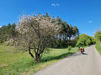 Bild 13 aus  Landhaus Jakob