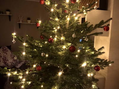 Bild 38 aus  Ferien am Talhof