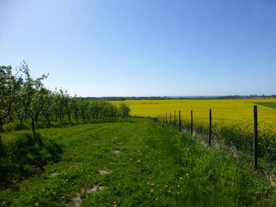 Bild 36 aus  Alte Schule Mechelsdorf - Idylle zw. Rerik und Kühlungsborn - 2,5 km zur Ostsee