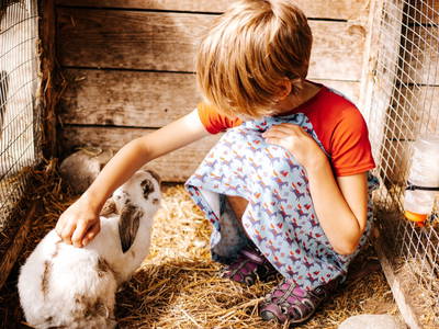 die Kaninchen streicheln und füttern