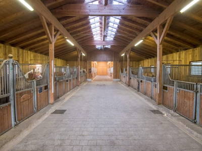 Bild 30 aus  Wietererhof