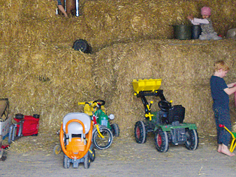 Bild 13 aus  Meisterhof