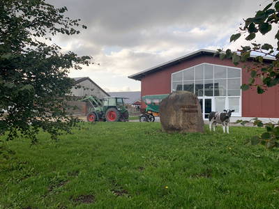 Bild 12 aus  Hof Thomsen